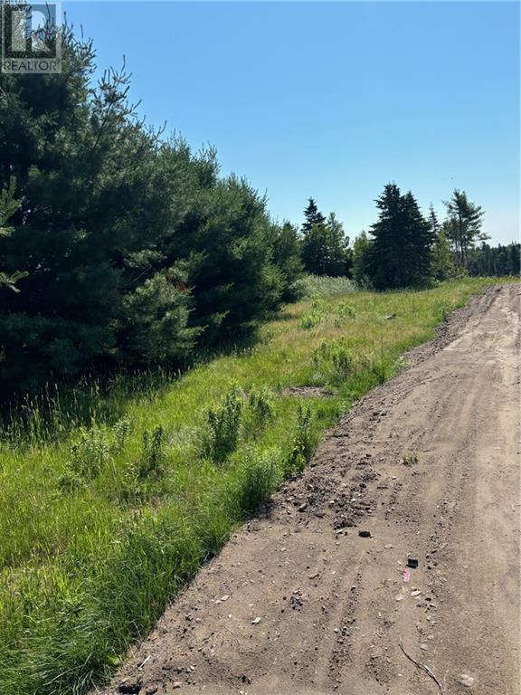 Lot Lawson, Saint-Norbert, New Brunswick  E4S 2P3 - Photo 5 - M158187