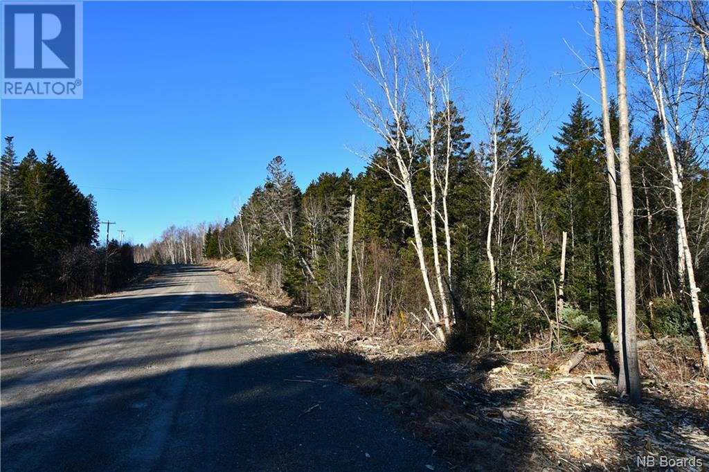 Lot 85-171 Harbour Heigths Drive, Welshpool, New Brunswick  E5E 1Z5 - Photo 6 - NB097098