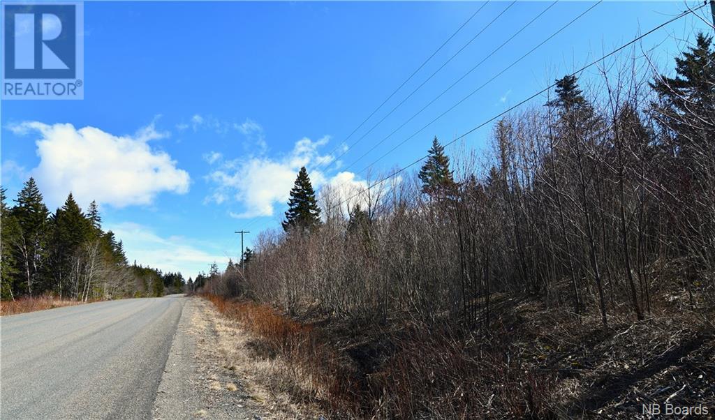 Lot 88-109 Bunker Hill Road, Wilsons Beach, New Brunswick  E5E 1M3 - Photo 10 - NB097056