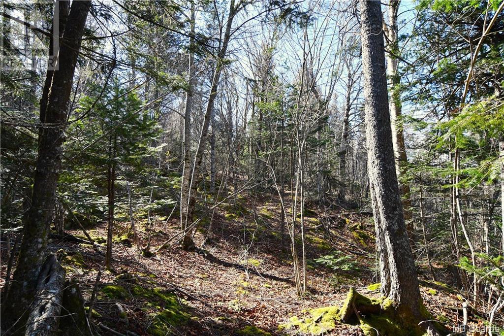 Lot 88-109 Bunker Hill Road, Wilsons Beach, New Brunswick  E5E 1M3 - Photo 2 - NB097056