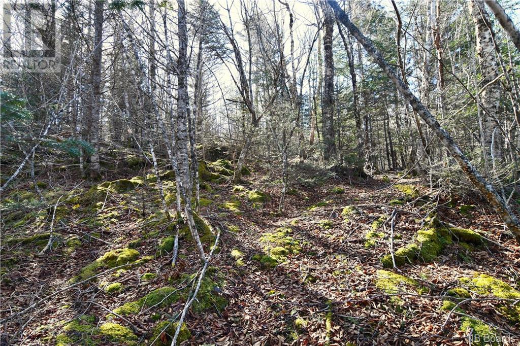 Lot 88-109 Bunker Hill Road, Wilsons Beach, New Brunswick  E5E 1M3 - Photo 3 - NB097056