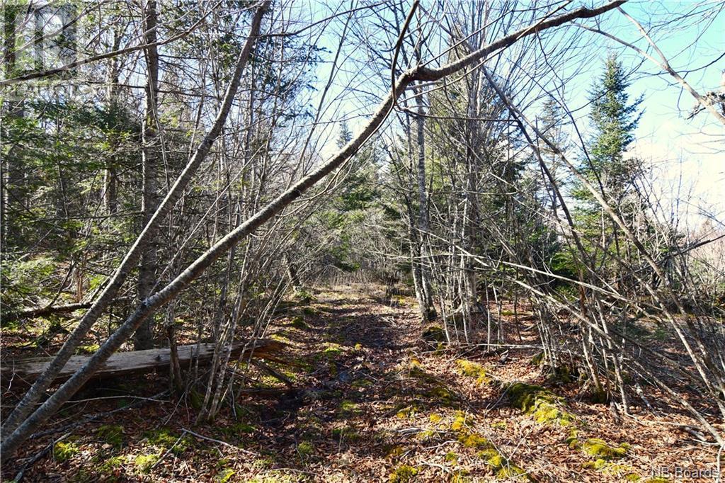 Lot 88-109 Bunker Hill Road, Wilsons Beach, New Brunswick  E5E 1M3 - Photo 5 - NB097056