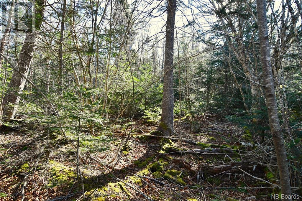 Lot 88-109 Bunker Hill Road, Wilsons Beach, New Brunswick  E5E 1M3 - Photo 6 - NB097056