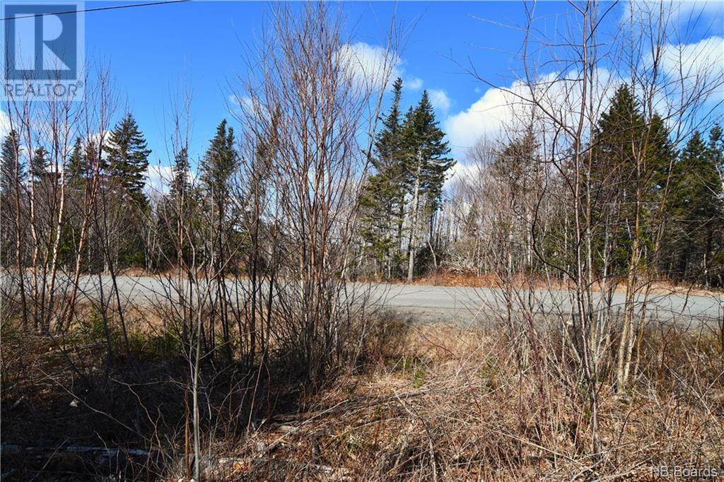 Lot 88-109 Bunker Hill Road, Wilsons Beach, New Brunswick  E5E 1M3 - Photo 7 - NB097056