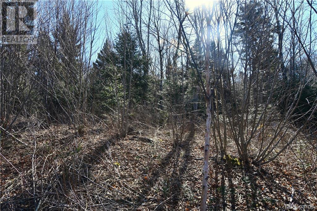 Lot 88-109 Bunker Hill Road, Wilsons Beach, New Brunswick  E5E 1M3 - Photo 8 - NB097056