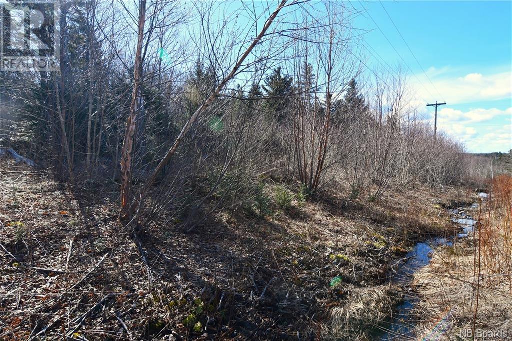 Lot 88-109 Bunker Hill Road, Wilsons Beach, New Brunswick  E5E 1M3 - Photo 9 - NB097056