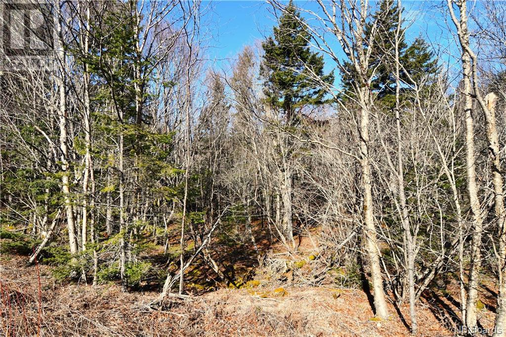 Lot 86-103 Fundy Drive, Wilsons Beach, New Brunswick  E5E 1X2 - Photo 10 - NB097050