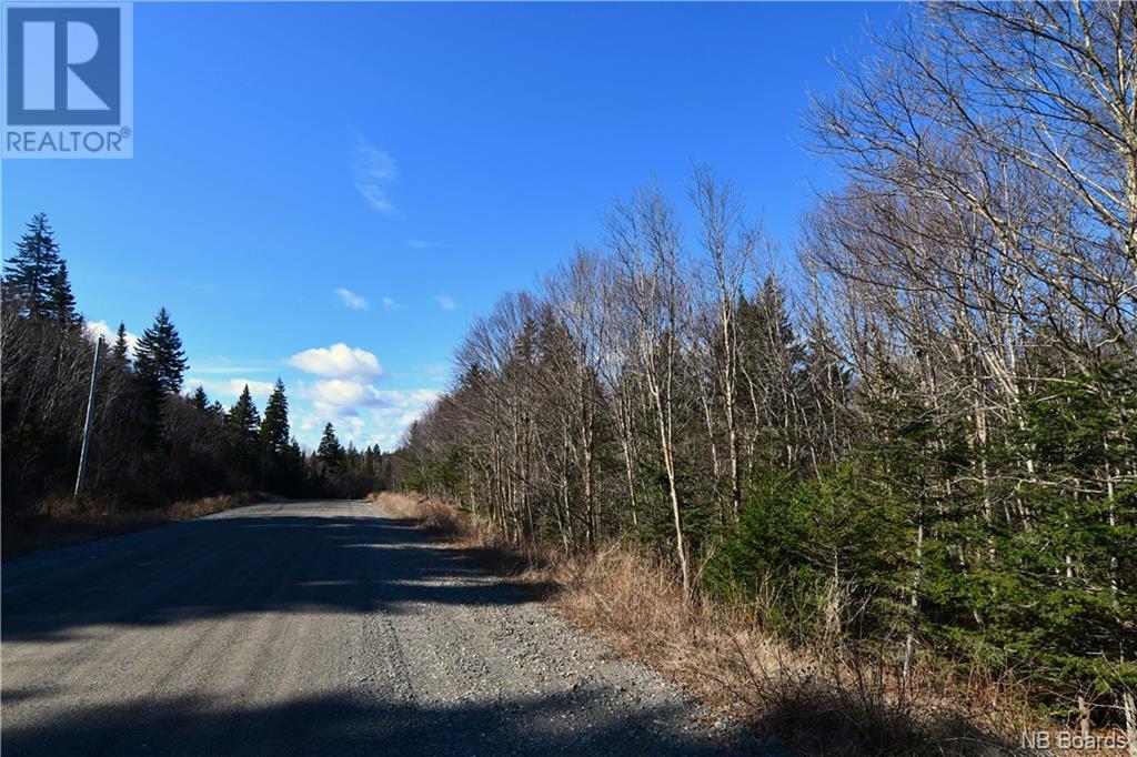 Lot 86-103 Fundy Drive, Wilsons Beach, New Brunswick  E5E 1X2 - Photo 11 - NB097050