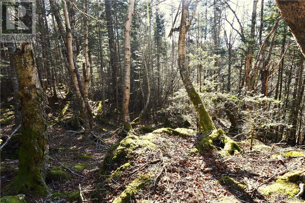 Lot 86-103 Fundy Drive, Wilsons Beach, New Brunswick  E5E 1X2 - Photo 2 - NB097050