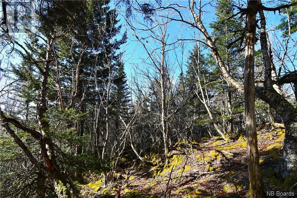 Lot 86-103 Fundy Drive, Wilsons Beach, New Brunswick  E5E 1X2 - Photo 4 - NB097050