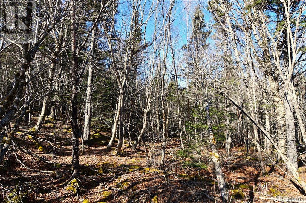 Lot 86-103 Fundy Drive, Wilsons Beach, New Brunswick  E5E 1X2 - Photo 5 - NB097050