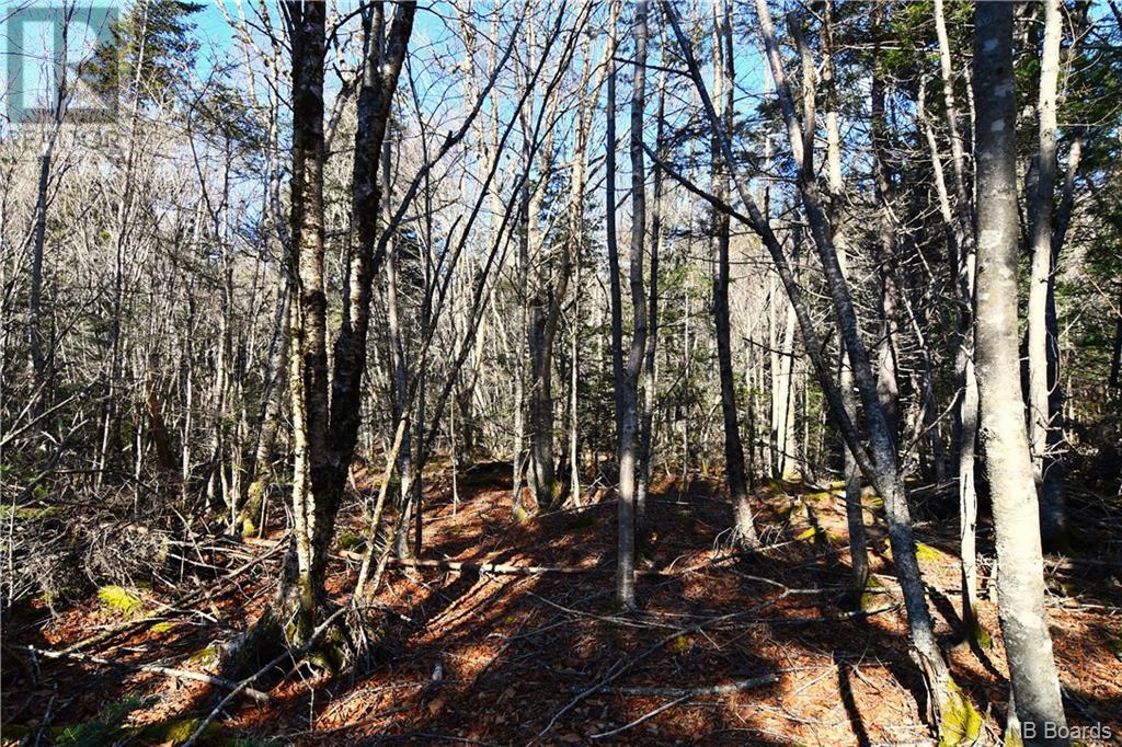 Lot 86-103 Fundy Drive, Wilsons Beach, New Brunswick  E5E 1X2 - Photo 6 - NB097050