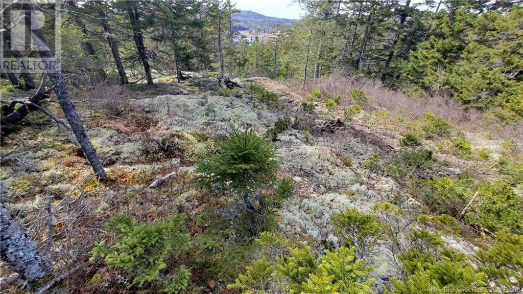 Lot 13 Eagles Passage, Chamcook, New Brunswick  E5B 0A8 - Photo 6 - NB097191