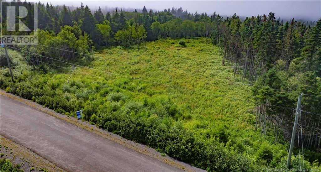 Lot 21-08 Kenmore Trail, West Quaco, New Brunswick  E5R 2G6 - Photo 10 - NB097225