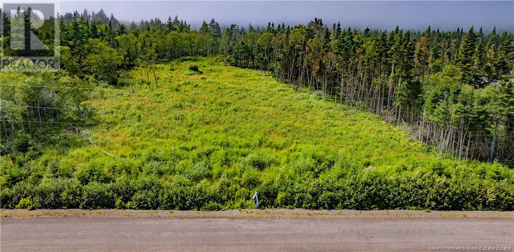 Lot 21-08 Kenmore Trail, West Quaco, New Brunswick  E5R 2G6 - Photo 11 - NB097225