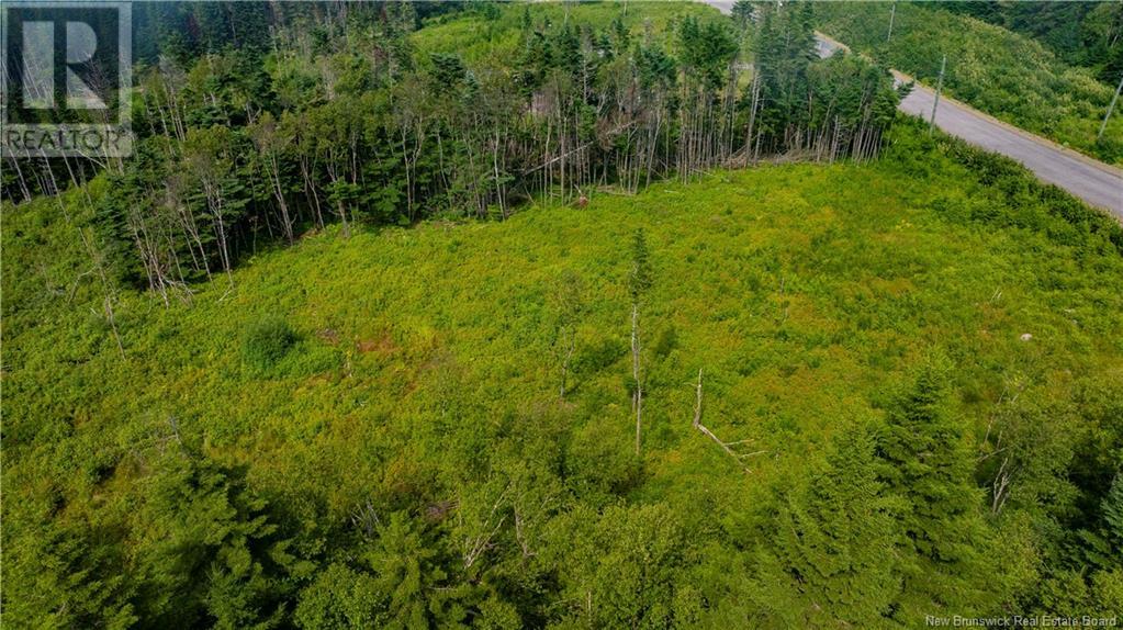 Lot 21-08 Kenmore Trail, West Quaco, New Brunswick  E5R 2G6 - Photo 5 - NB097225