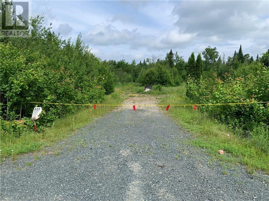 225 South Black River Road, Black River Bridge, New Brunswick  E1N 5S8 - Photo 16 - M158156