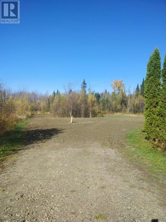 225 South Black River Road, Black River Bridge, New Brunswick  E1N 5S8 - Photo 2 - M158156