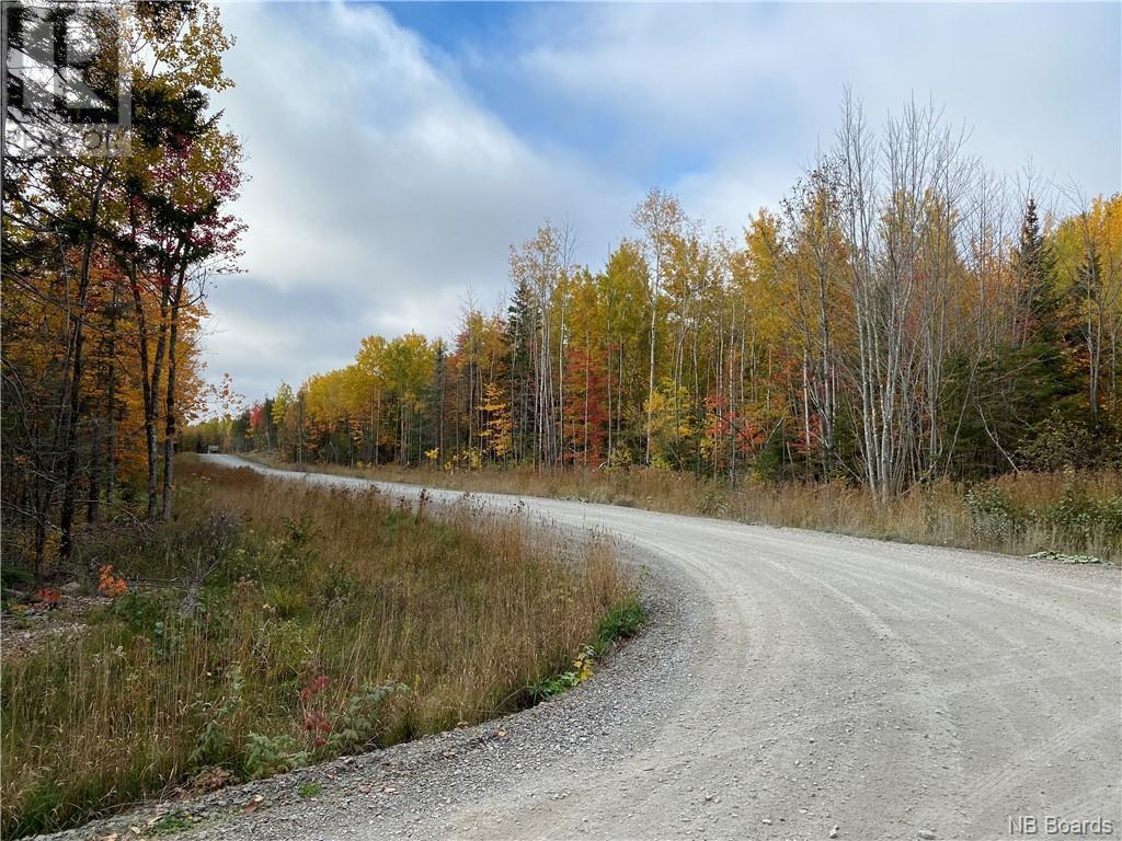 Lot Caleah Lane, Hanwell, New Brunswick  E3C 1N9 - Photo 10 - NB097335