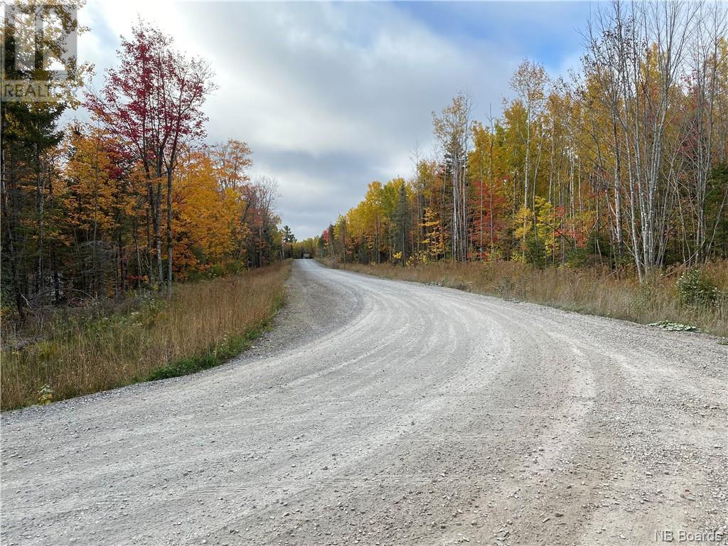 Lot Caleah Lane, Hanwell, New Brunswick  E3C 1N9 - Photo 11 - NB097335