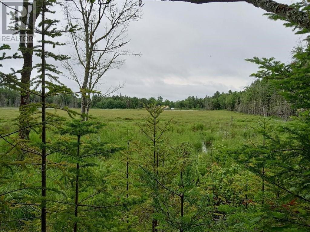 Lot 10 Richibuto Road, noonan, New Brunswick