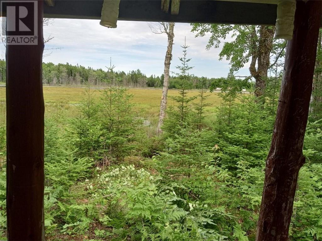 Lot 10 Richibuto Road, Noonan, New Brunswick  E4A 7H4 - Photo 13 - M158340