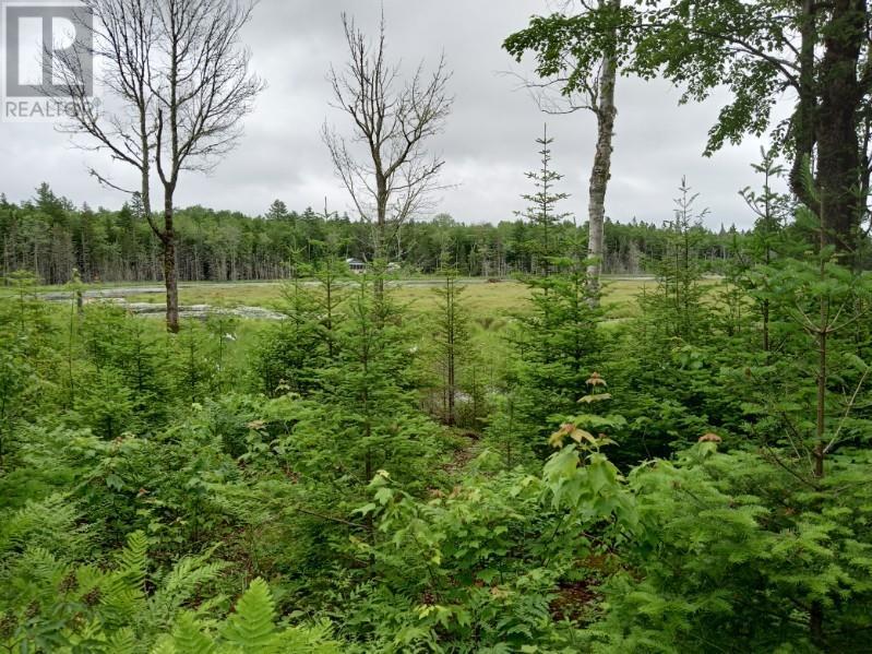 Lot 10 Richibuto Road, Noonan, New Brunswick  E4A 7H4 - Photo 20 - M158340