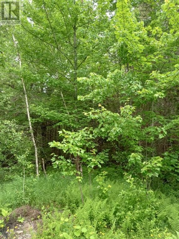 Lot 10 Richibuto Road, Noonan, New Brunswick  E4A 7H4 - Photo 25 - M158340