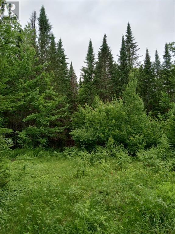 Lot 10 Richibuto Road, Noonan, New Brunswick  E4A 7H4 - Photo 26 - M158340