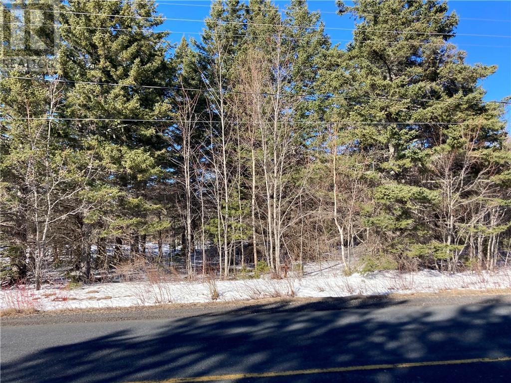 Lot Route 134, Bathurst, New Brunswick  E8L 1S3 - Photo 10 - M158329