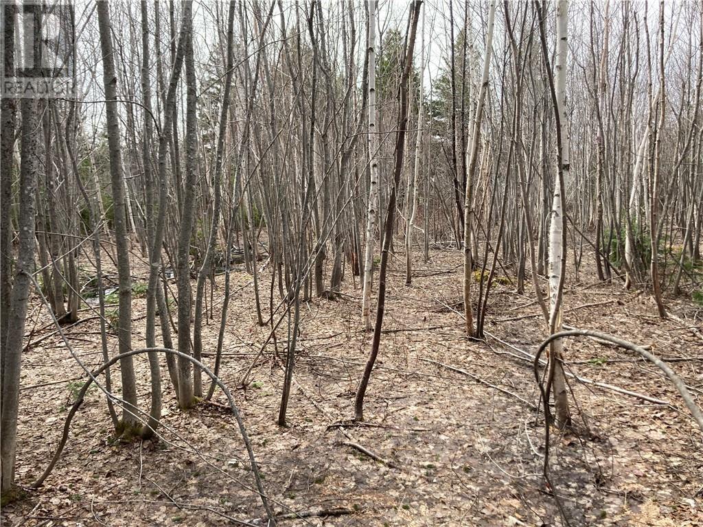 Lot Route 134, Bathurst, New Brunswick  E8L 1S3 - Photo 2 - M158329