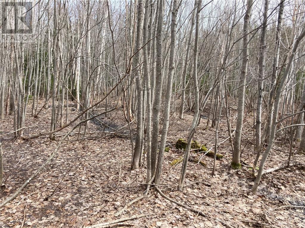 Lot Route 134, Bathurst, New Brunswick  E8L 1S3 - Photo 3 - M158329