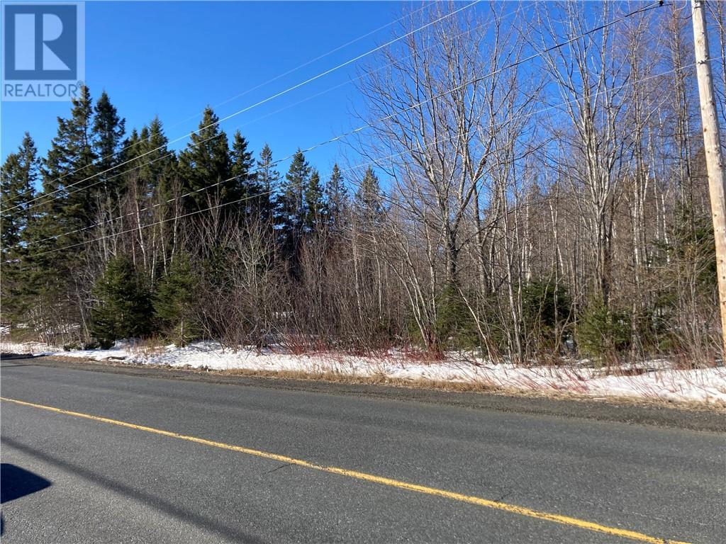 Lot Route 134, Bathurst, New Brunswick  E8L 1S3 - Photo 4 - M158329