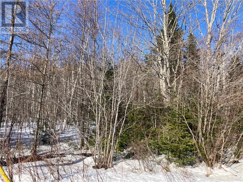 Lot Route 134, Bathurst, New Brunswick  E8L 1S3 - Photo 6 - M158329