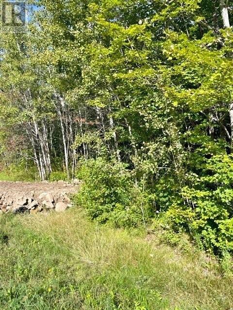 Lot Pointe A Nicet, Grand-Barachois, New Brunswick  E4P 8Z7 - Photo 3 - M158375