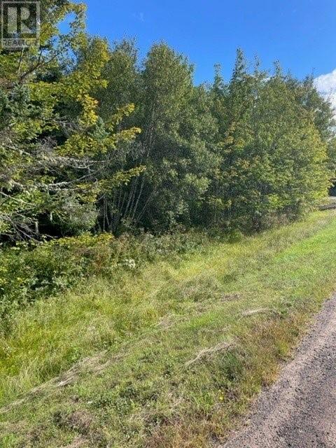 Lot Pointe A Nicet, Grand-Barachois, New Brunswick  E4P 8Z7 - Photo 5 - M158375