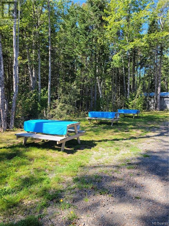 10965 Route 10, Youngs Cove, New Brunswick  E4C 2G2 - Photo 10 - NB097420