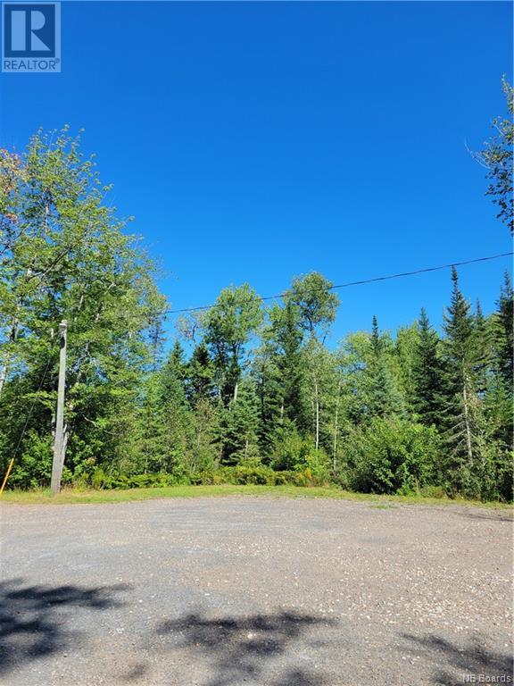 10965 Route 10, Youngs Cove, New Brunswick  E4C 2G2 - Photo 11 - NB097420