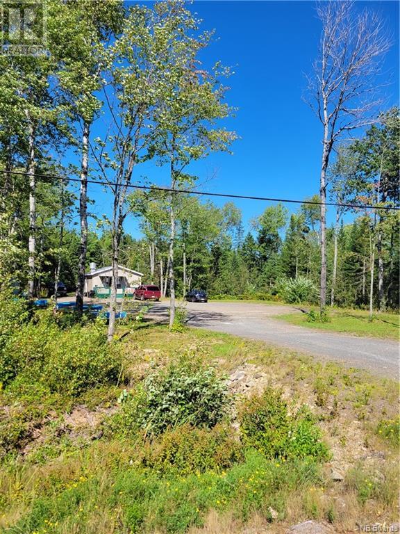 10965 Route 10, Youngs Cove, New Brunswick  E4C 2G2 - Photo 21 - NB097420