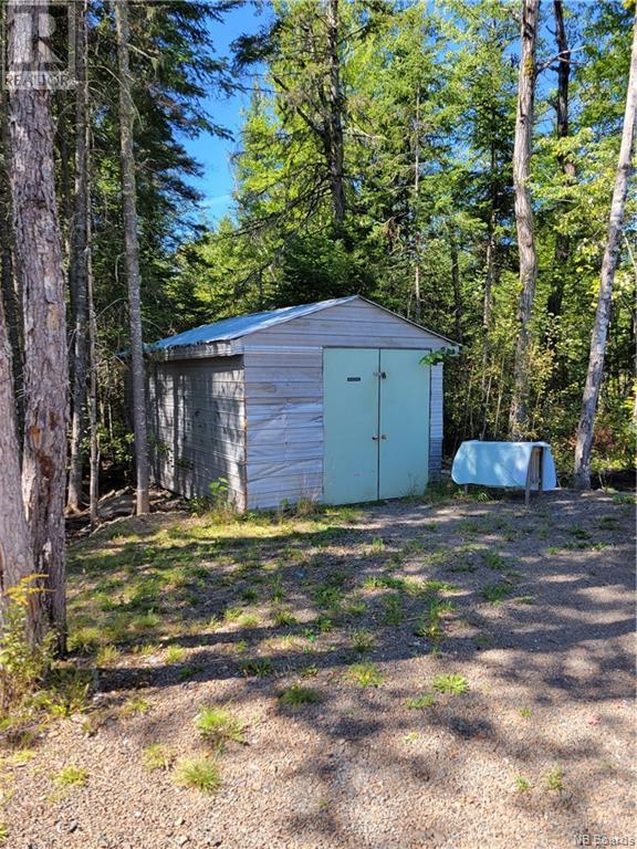 10965 Route 10, Youngs Cove, New Brunswick  E4C 2G2 - Photo 8 - NB097420