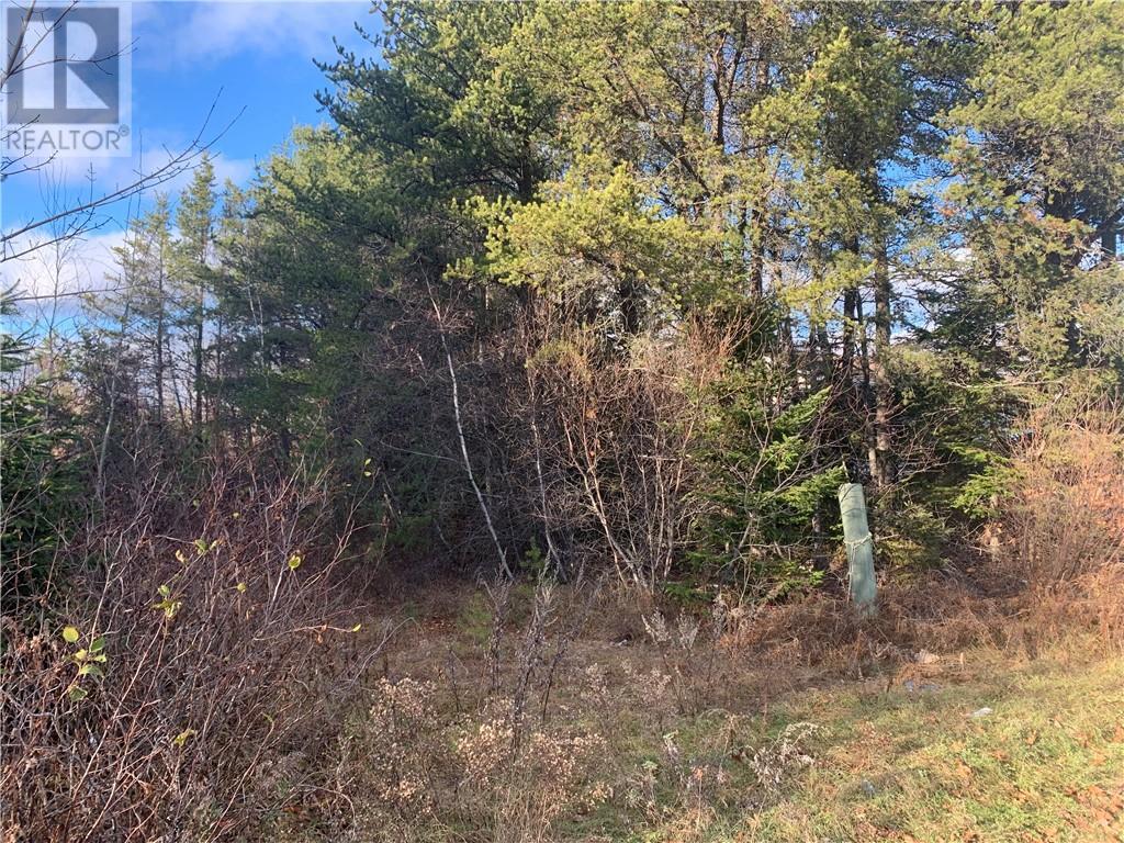 Lot Main Street, Richibucto, New Brunswick  E4W 4C7 - Photo 3 - M158369