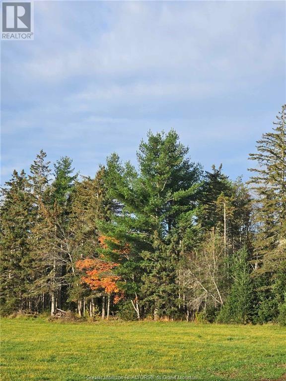 Lot 23-2 De La Paix, Sainte-Marie-De-Kent, New Brunswick  E4S 2L8 - Photo 10 - M158468