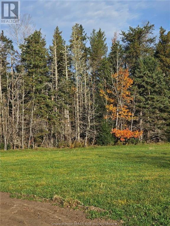 Lot 23-2 De La Paix, Sainte-Marie-De-Kent, New Brunswick  E4S 2L8 - Photo 11 - M158468