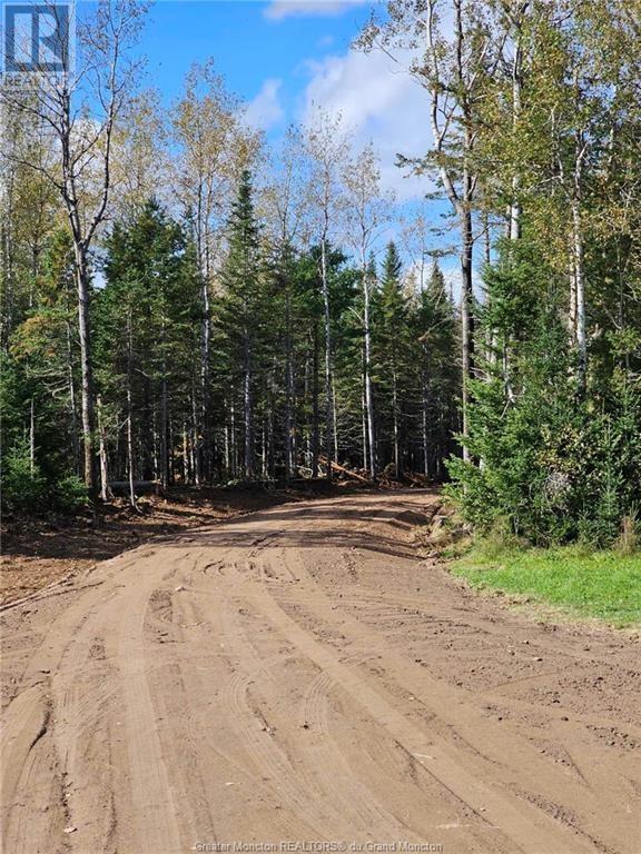 Lot 23-2 De La Paix, Sainte-Marie-De-Kent, New Brunswick  E4S 2L8 - Photo 6 - M158468