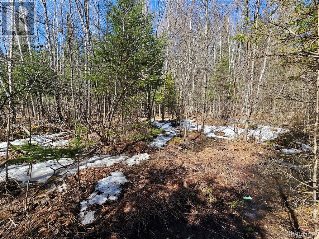 Lot Route 385, Plaster Rock, New Brunswick  E7G 3H8 - Photo 2 - NB097587