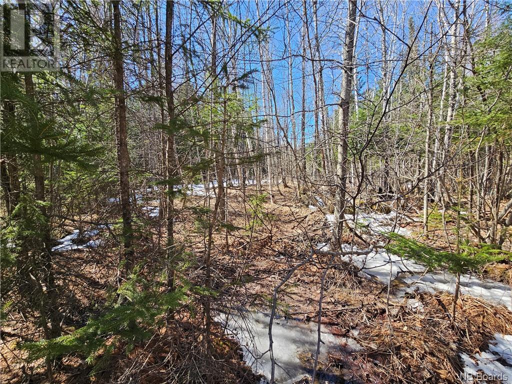 Lot Route 385, Plaster Rock, New Brunswick  E7G 3H8 - Photo 4 - NB097587