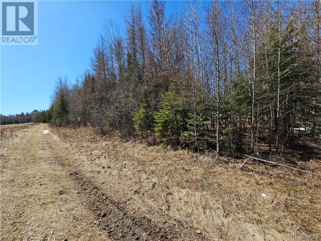 Lot Route 385, Plaster Rock, New Brunswick  E7G 3H8 - Photo 5 - NB097587