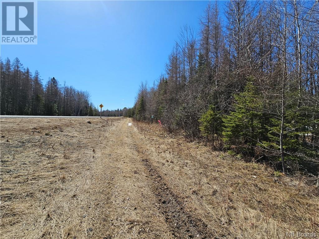 Lot Route 385, Plaster Rock, New Brunswick  E7G 3H8 - Photo 6 - NB097587