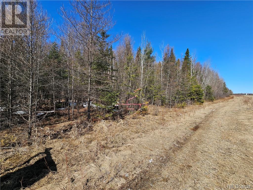 Lot Route 385, Plaster Rock, New Brunswick  E7G 3H8 - Photo 7 - NB097587