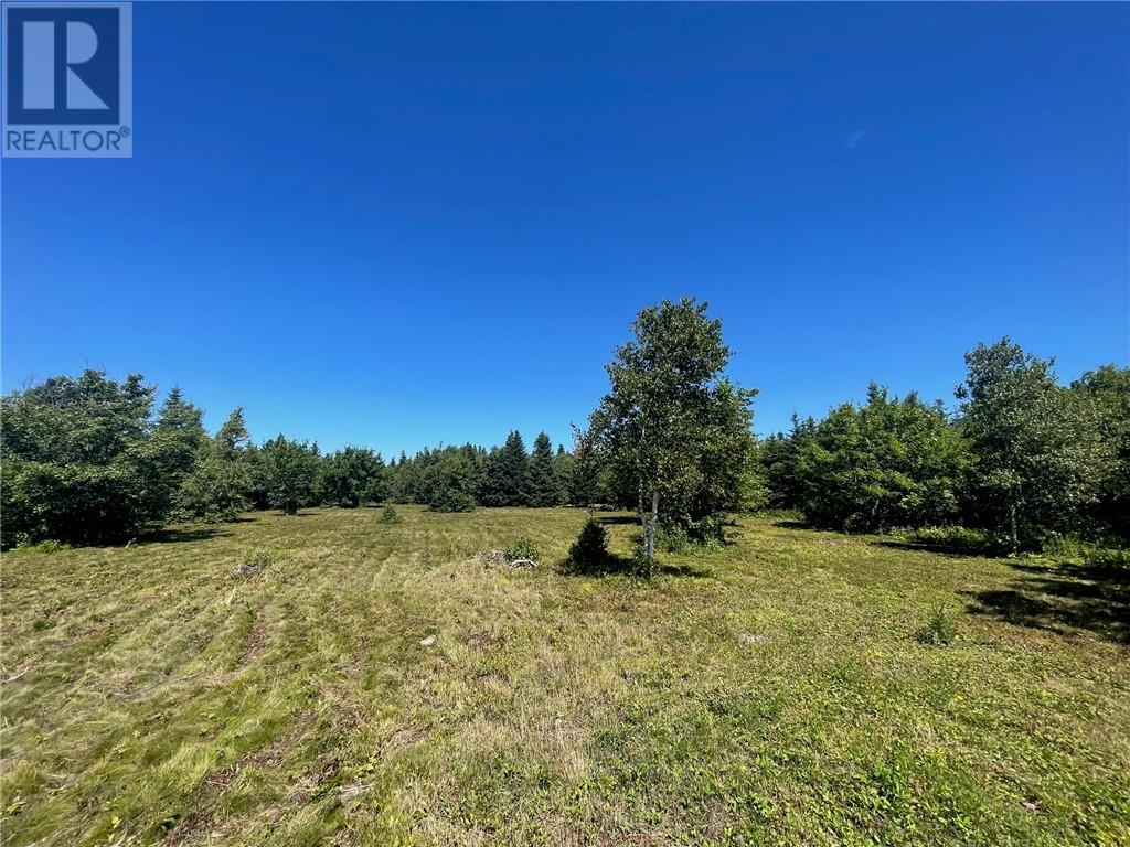 Lot Harvey Road, Little Shemogue, New Brunswick  E4M 3N4 - Photo 11 - M158528